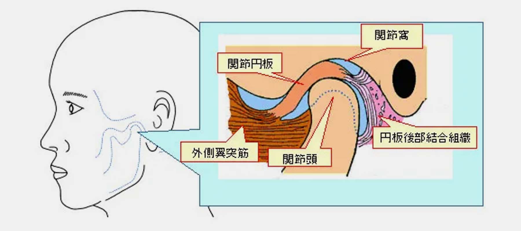 顎関節症について