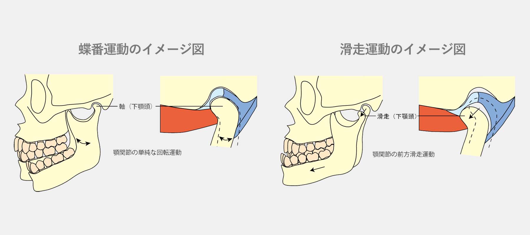 顎関節症について